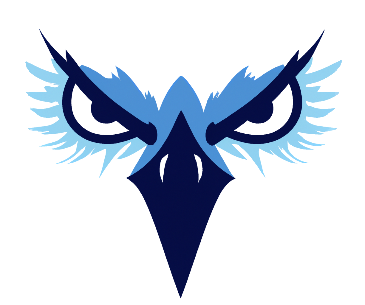 Logo Club Baloncesto Realejos